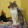 Отзыв от Надежда Румянцева
